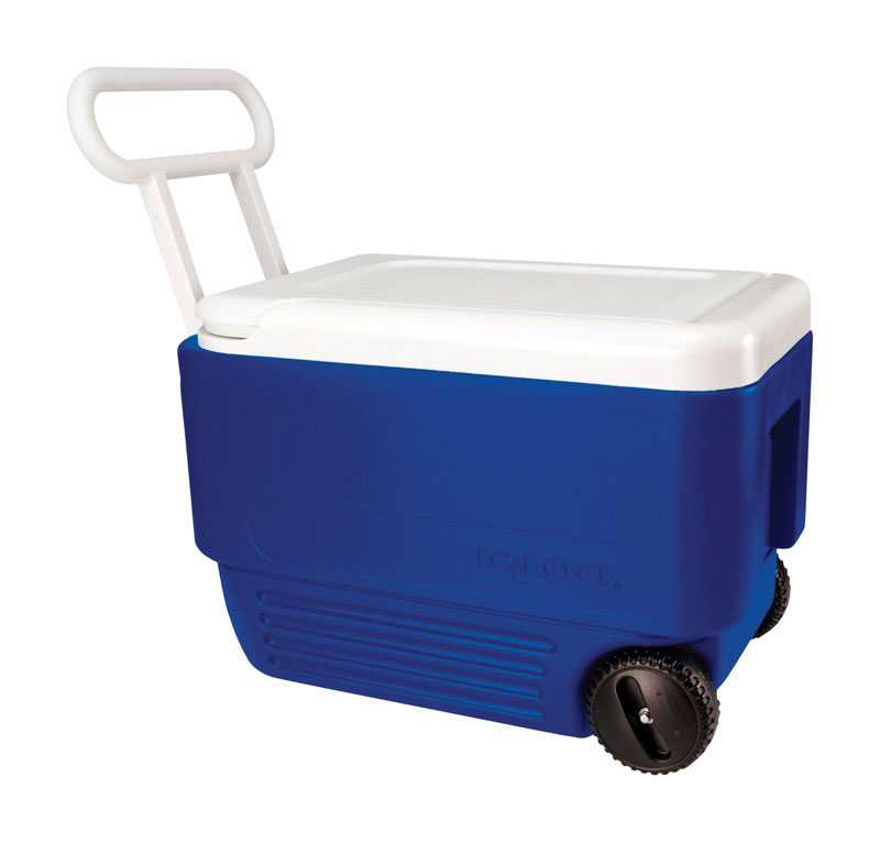 Product Rubbermaid Plastic Cooler 50 Qt. Red